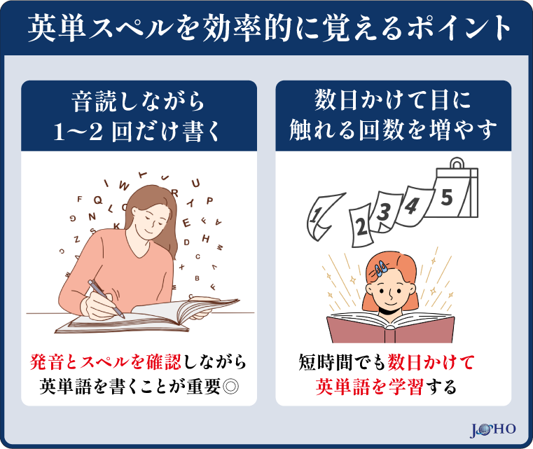 英単スペルを効率的に覚えるポイント！小学生・中学生も必見